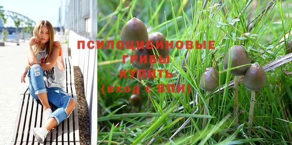 ПСИЛОЦИБИНОВЫЕ ГРИБЫ Балахна
