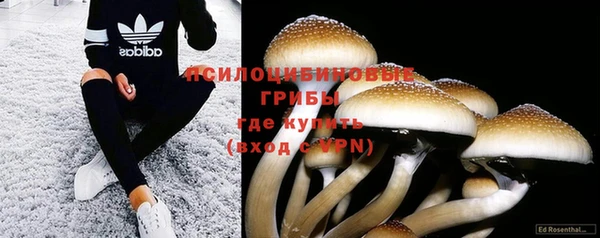 ПСИЛОЦИБИНОВЫЕ ГРИБЫ Балахна