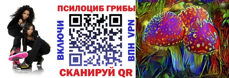 Псилоцибиновые грибы Psilocybe  цена наркотик  Ершов 