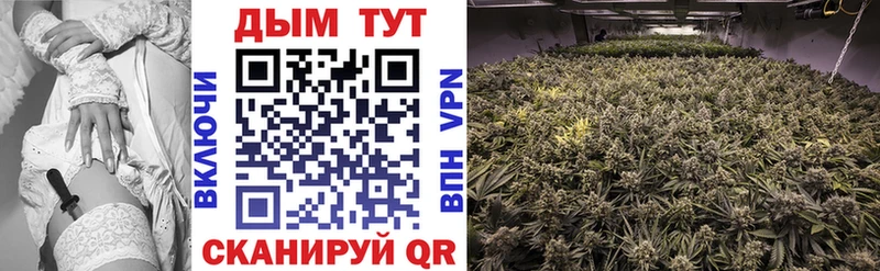 Шишки марихуана SATIVA & INDICA Ершов